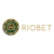 RioBet Casino